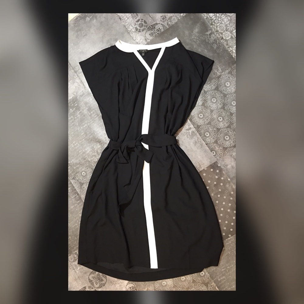 Classic B&W Talbots Woman Dress! 😎👌🏼